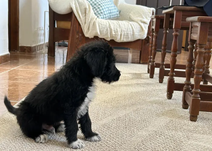 Casa Julian 別荘 San Juan de la Rambla