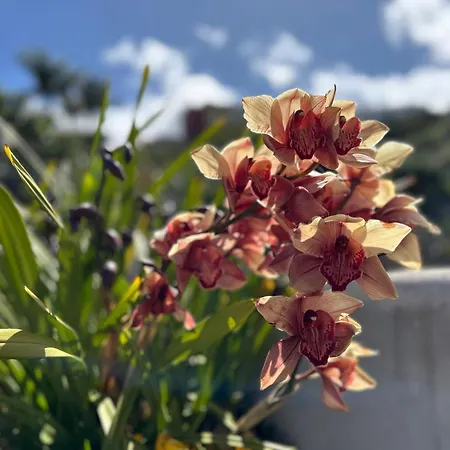 Casa Julian Feriehus *