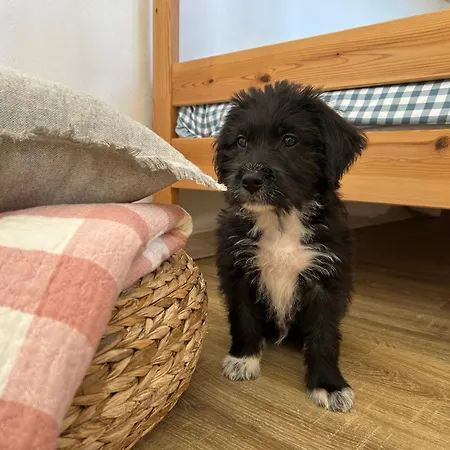 Ferienhaus Casa Julian