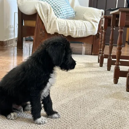 Casa Julian Ferienhaus San Juan de la Rambla