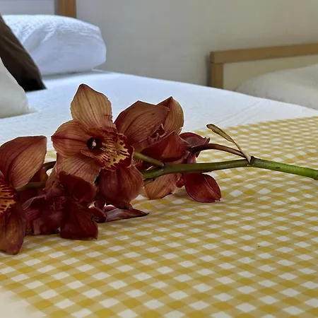 Casa Julian * San Juan de la Rambla