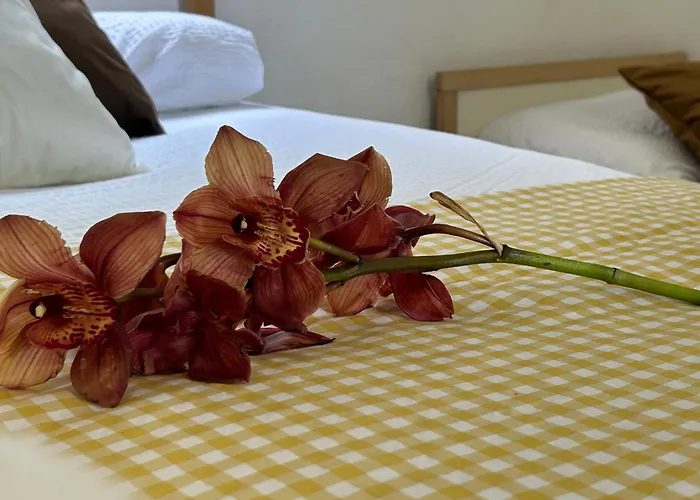 Casa Julian * San Juan de la Rambla